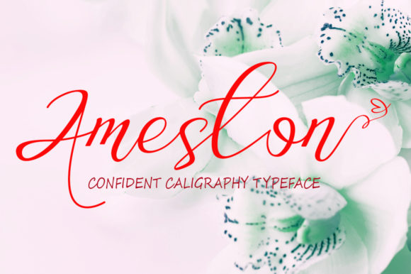 Ameston: A Versatile Script Font for Modern Marketing and Digital Design