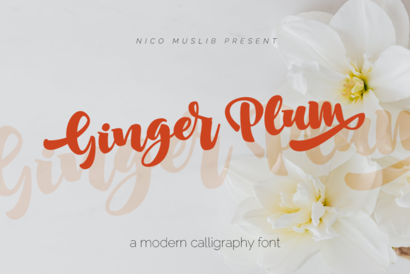 Ginger Plum: A Handwritten Font for Your Brand