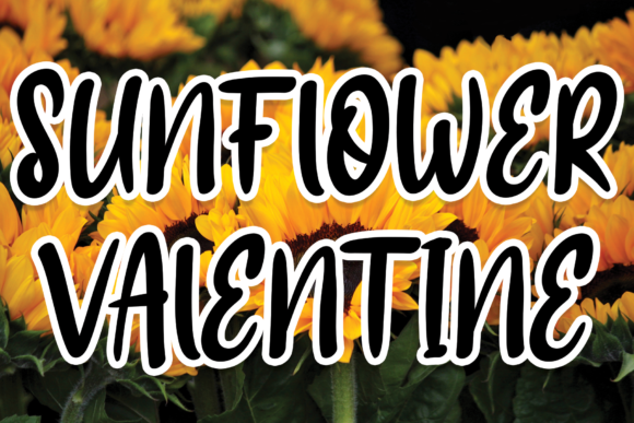 Sunflower Valentine: A Trendy Handwritten Font for Branding